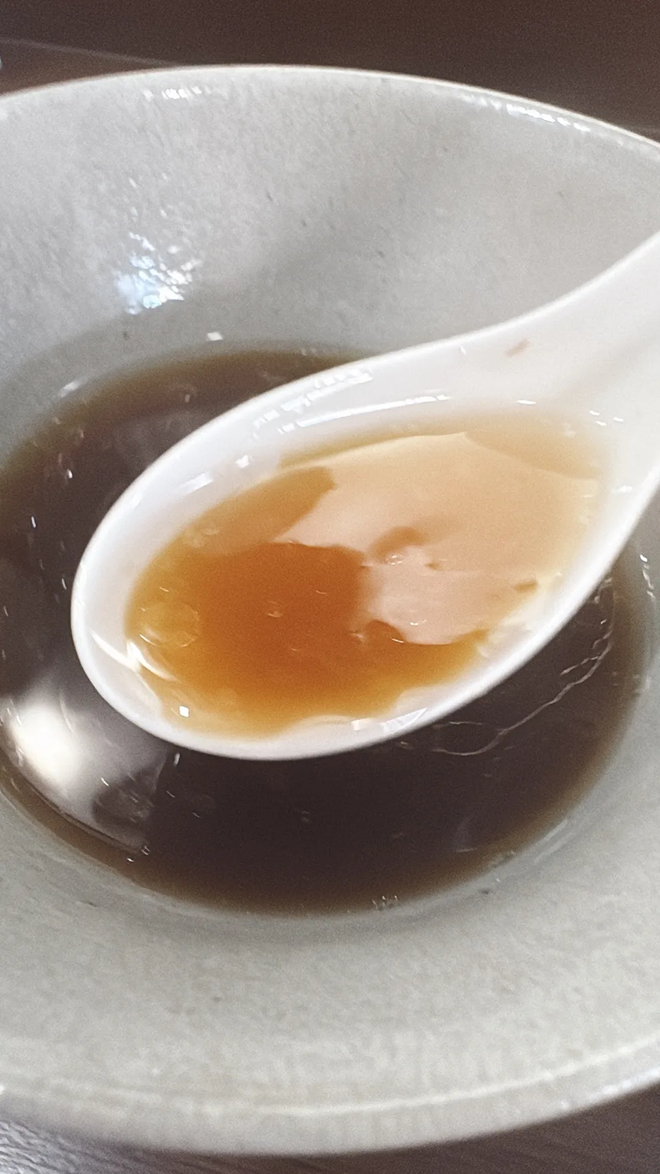 魚魚のいしりつけ麺のスープをレンゲですくったところ