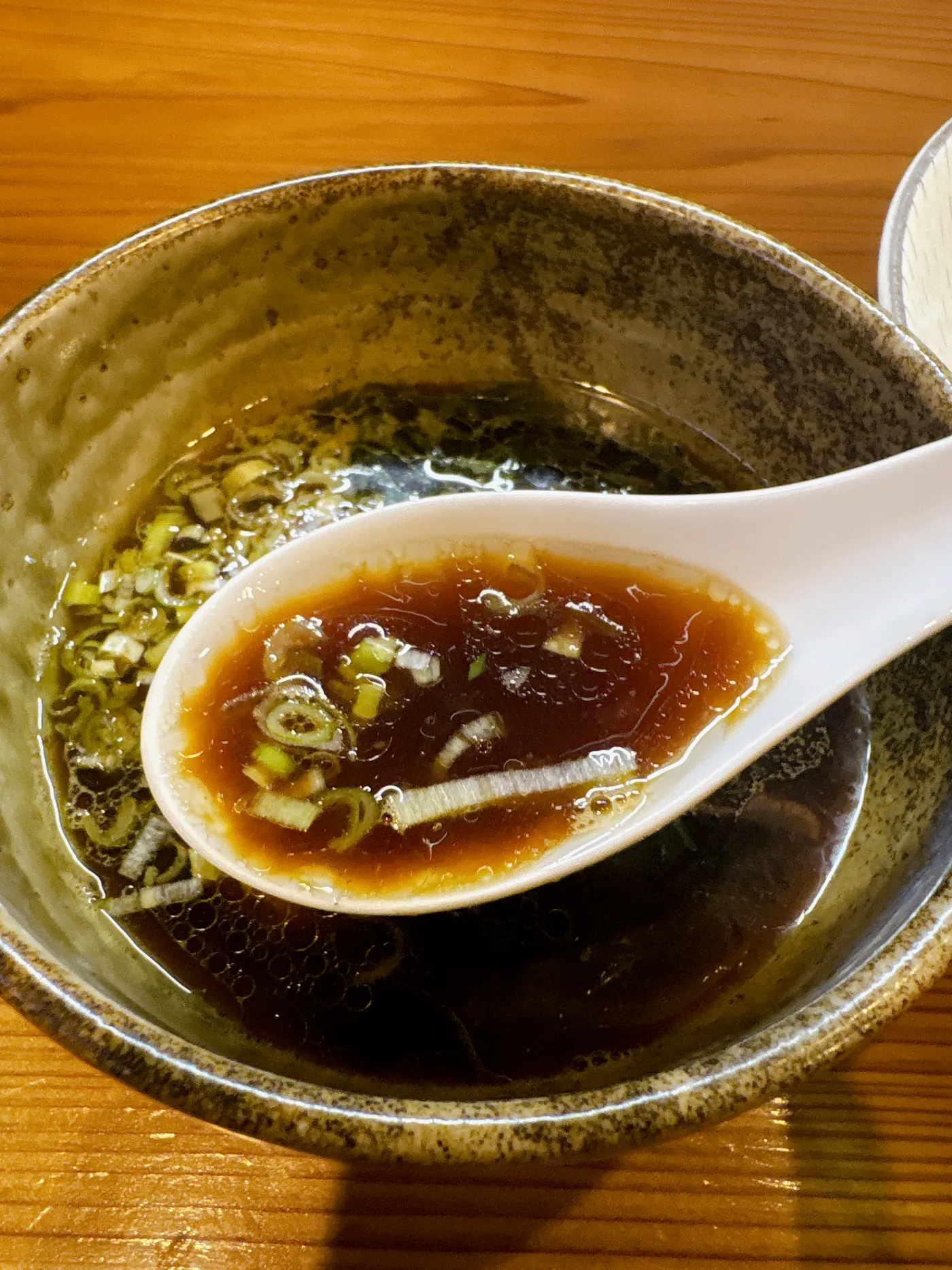 つけそば神宮寺のつけダレをレンゲですくったところ